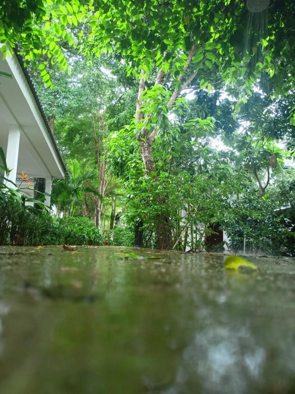 Greenspace Resort Phuquoc Phu Quoc Exteriör bild